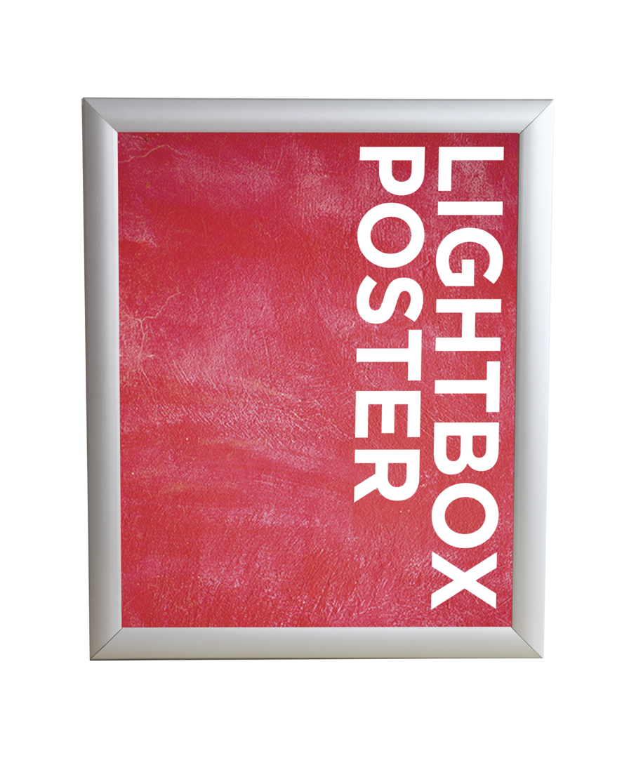 CanopyStep Wall-Mounted Lightbox 04