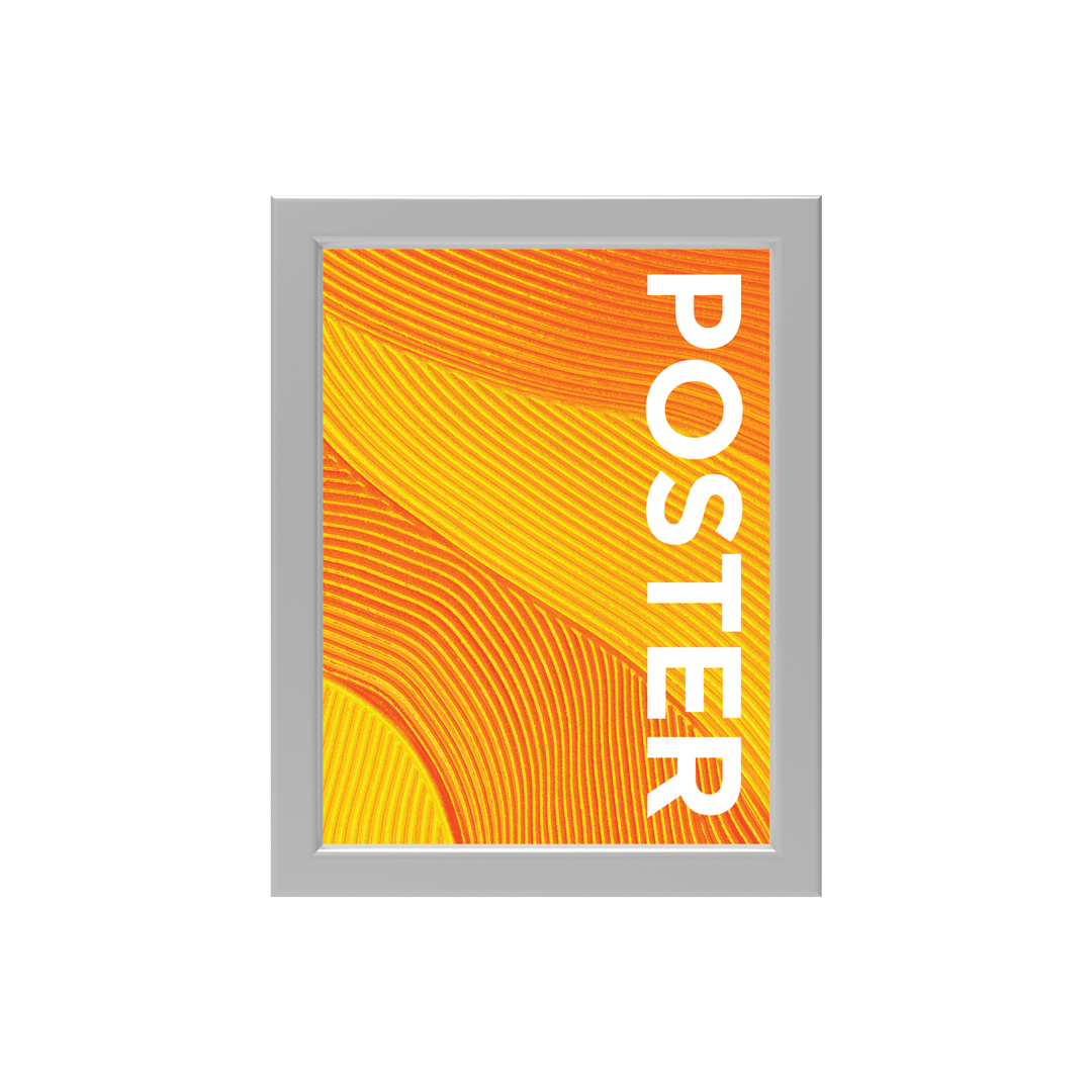CanopyStep Poster Frame Display 11 x 14