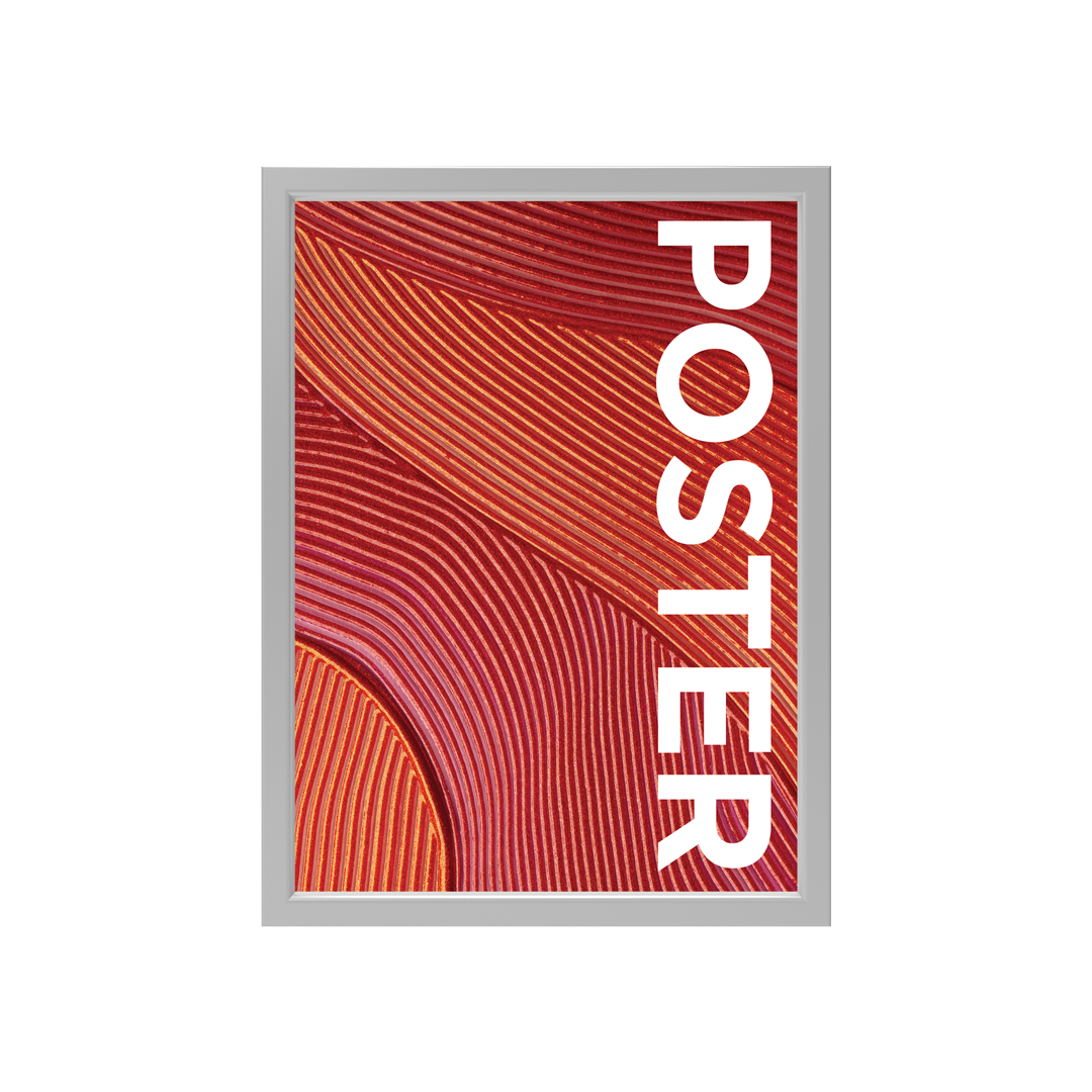 CanopyStep Poster Frame Display 18 x 24