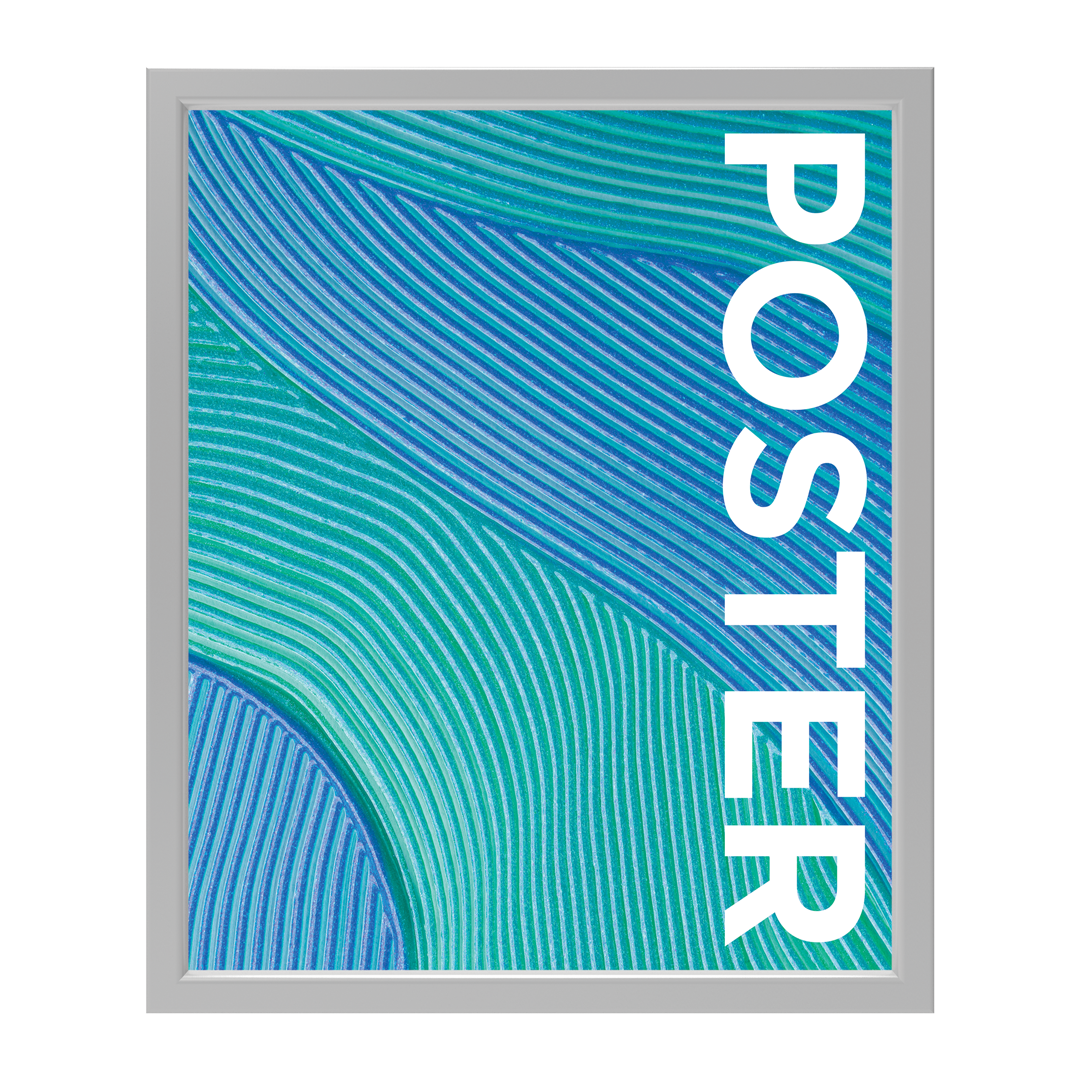 CanopyStep Poster Frame Display 20 x 24