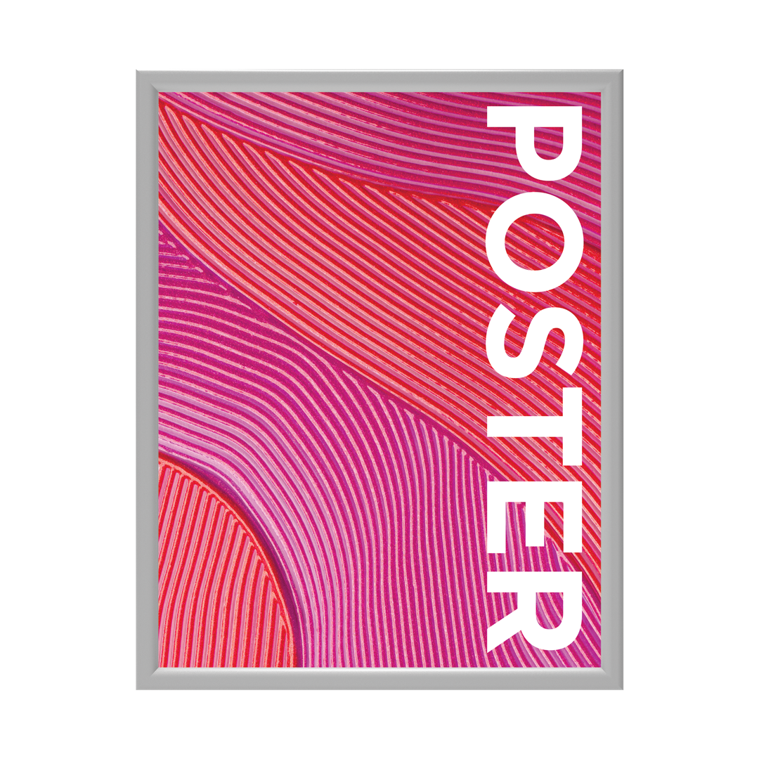 CanopyStep Poster Frame Display 22 x 28
