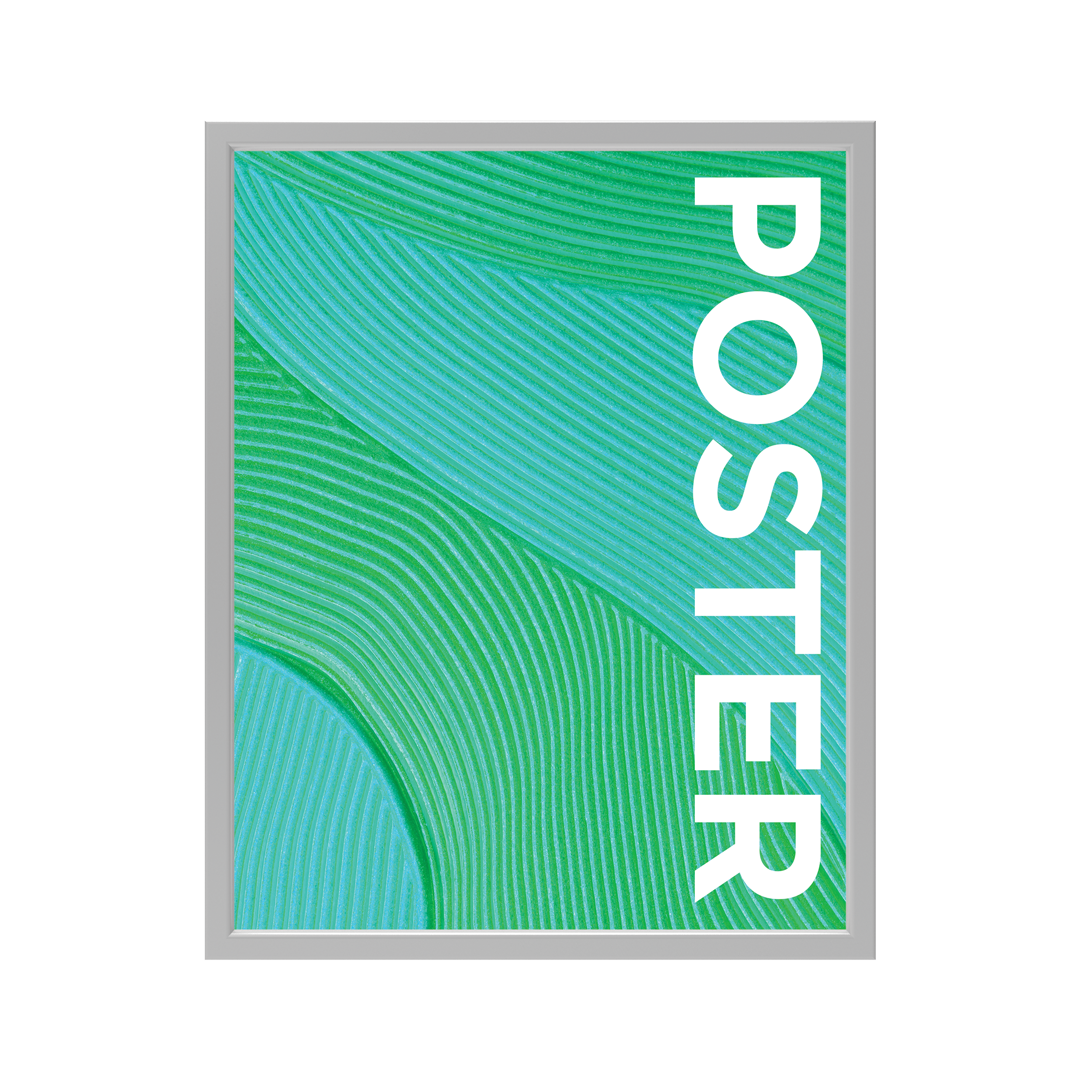 CanopyStep Poster Frame Display 24 x 30