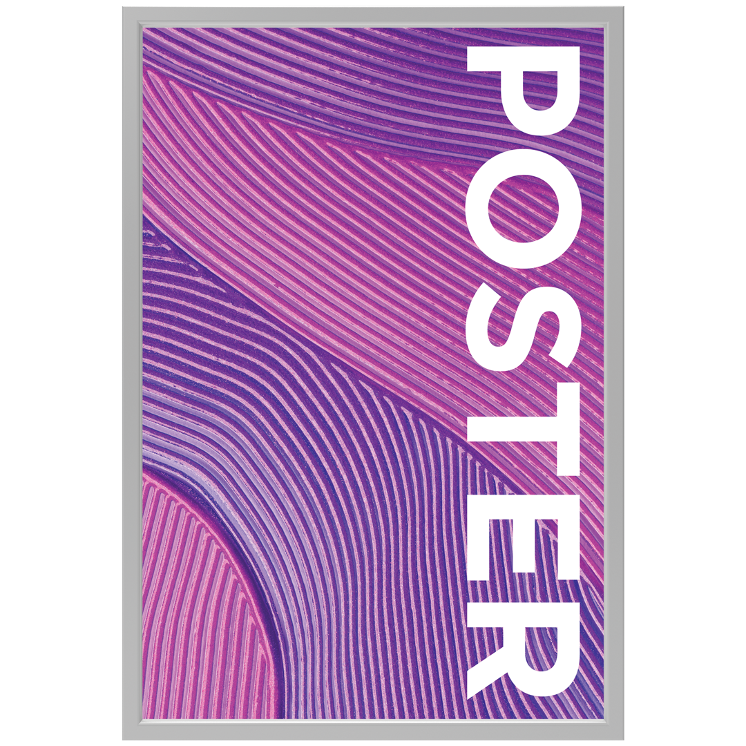 CanopyStep Poster Frame Display 24 x 36