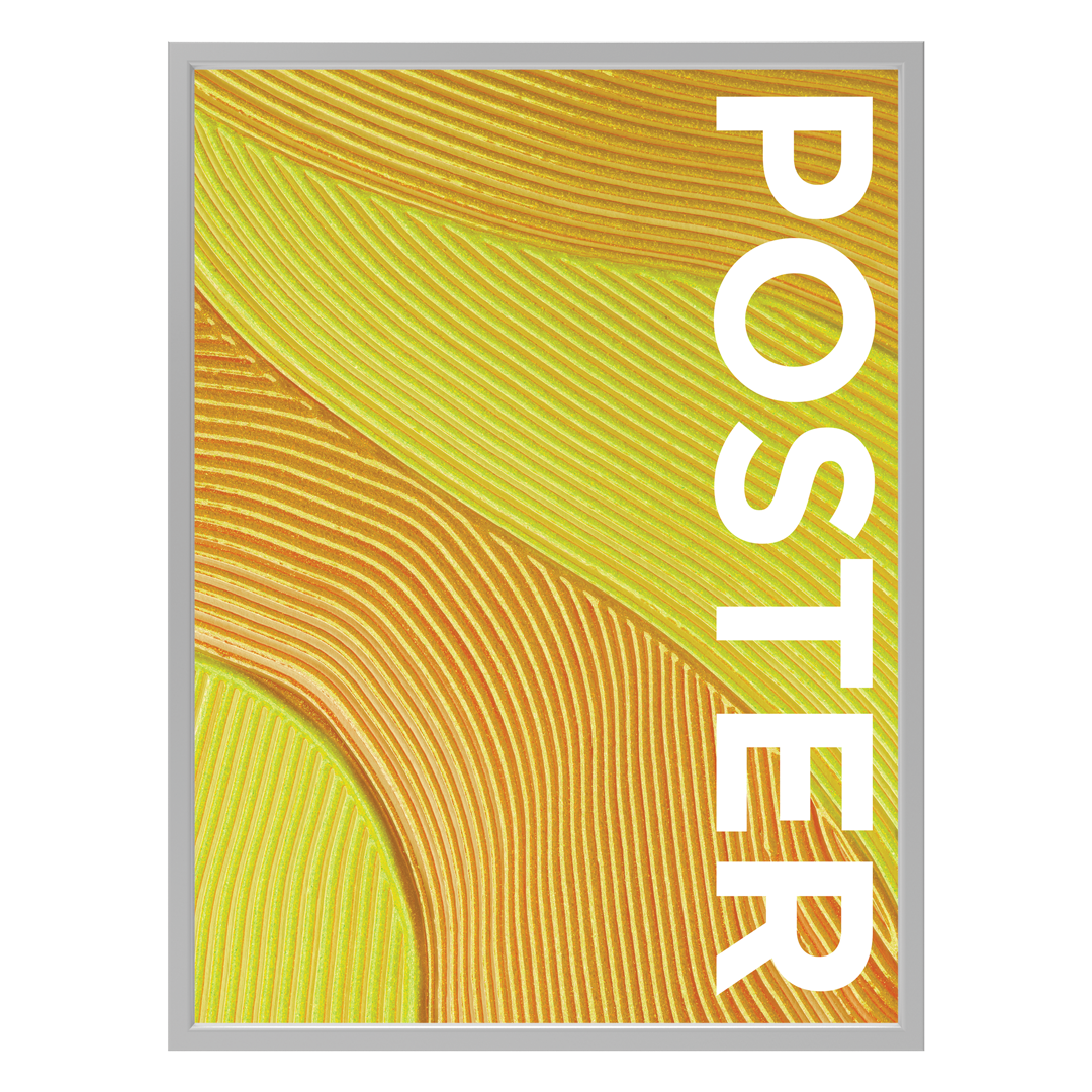 CanopyStep Poster Frame Display 30 x 40